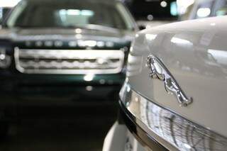 Além de conferir caminhões, visitantes poderão contemplar carros de marcas como Jaguar, BMW e outras (Foto: Marcos Ermínio)