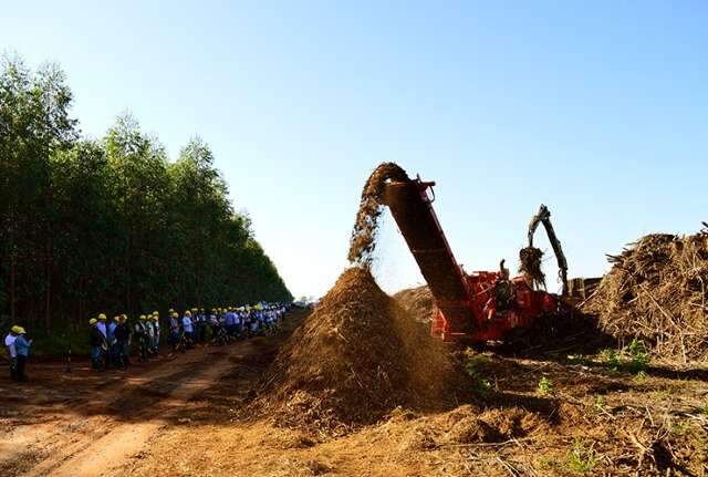 Dia de campo mostra produ&ccedil;&atilde;o de energia atrav&eacute;s da celulose