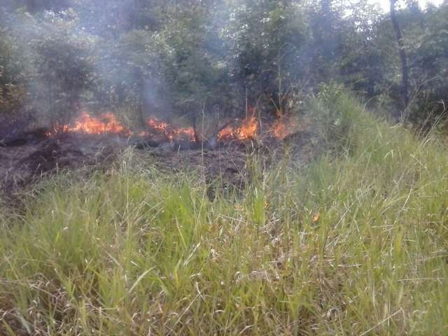 Terreno baldio vira deposito de lixos e queimadas no Tiradentes