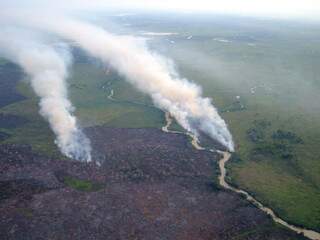 INPE registrou 24 focos de incêndio, em Corumbá, na última segunda-feira (Foto: Ibama)