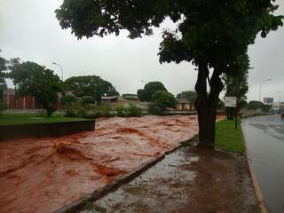 Córrego transbordou para desespero dos convidados (foto: Marta Ferreira/Campo Grande News)