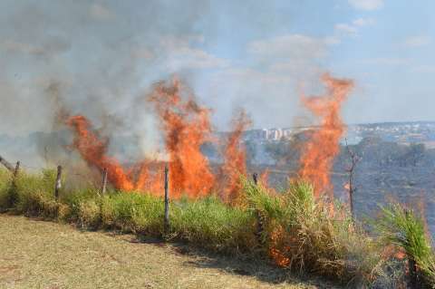 Incêndio destroi vegetação de terreno de 10 hectares na Capital