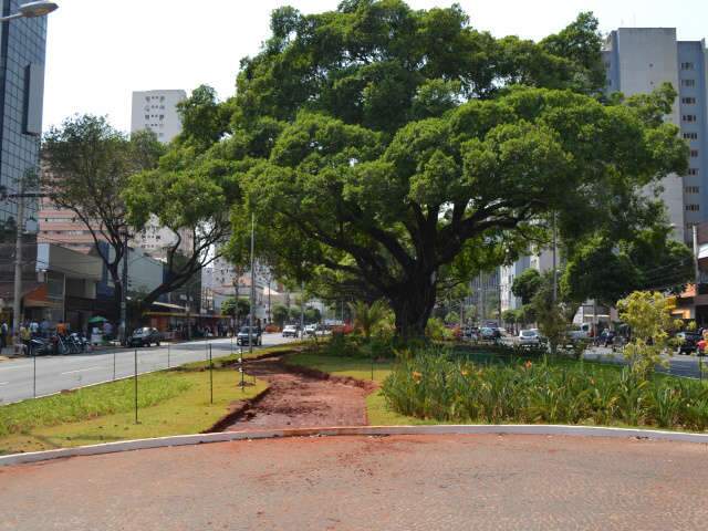  Liberada pelo TJ, obra de ciclovia ser&aacute; retomada na Afonso Pena