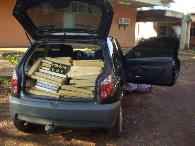  DOF apreende 260 kg de maconha na MS-164, em Ponta Por&atilde;