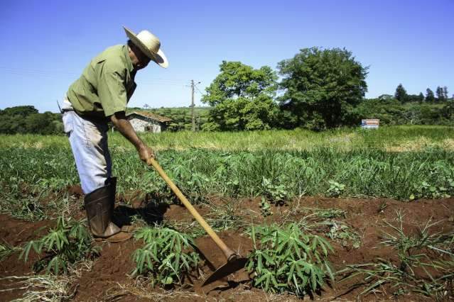 Contra desmatamento, 80 mil &aacute;reas devem entrar em cadastro em MS
