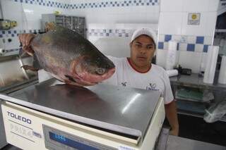 Produção de peixe será mapeada no Estado. (Foto:Marcelo Victor)
