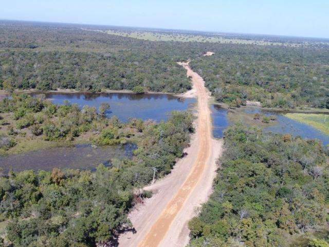 Estradas interligam Pantanal isolado e facilitam transporte de bezerros