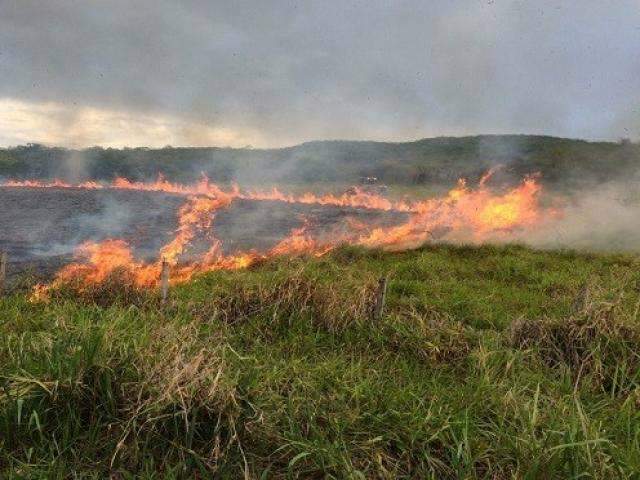 Estiagem do inverno castiga e MS registra 239 focos de queimada em julho