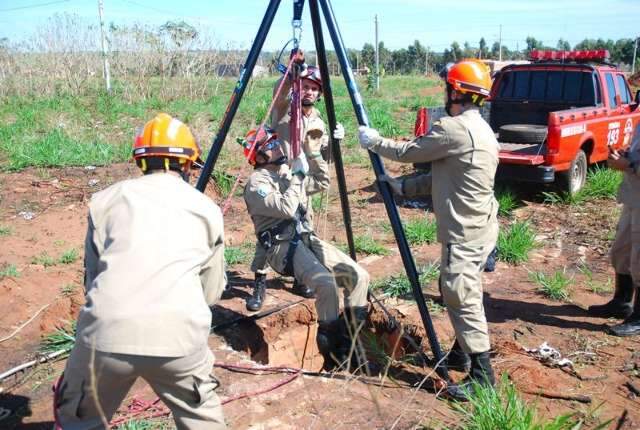 Tamandu&aacute; cai em buraco de 3 metros e &eacute; resgatado pelos Bombeiros 