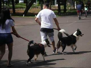 Família passeando com cachorros na manhã deste domingo no Parque dos Poderes (Foto: Fernando Antunes) 