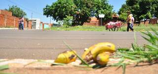 Na mesma pista onde as bananas estão, veículos passam a toda. Perigo para pedestres que passam com carrinhos lotados. (Foto: João Garrigó)