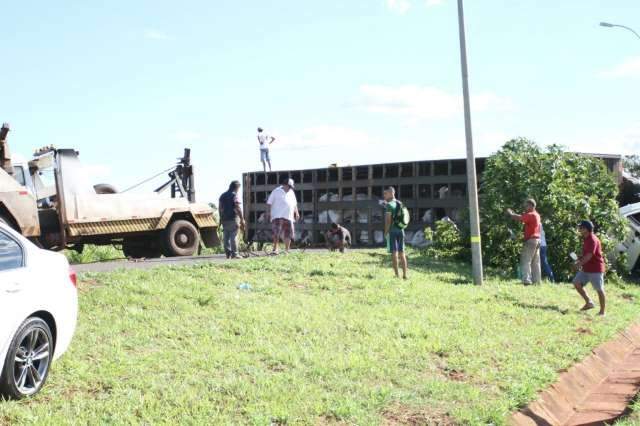 Caminh&atilde;o com boiada tomba e &quot;fila&quot; se forma para &quot;carnear&quot; animais