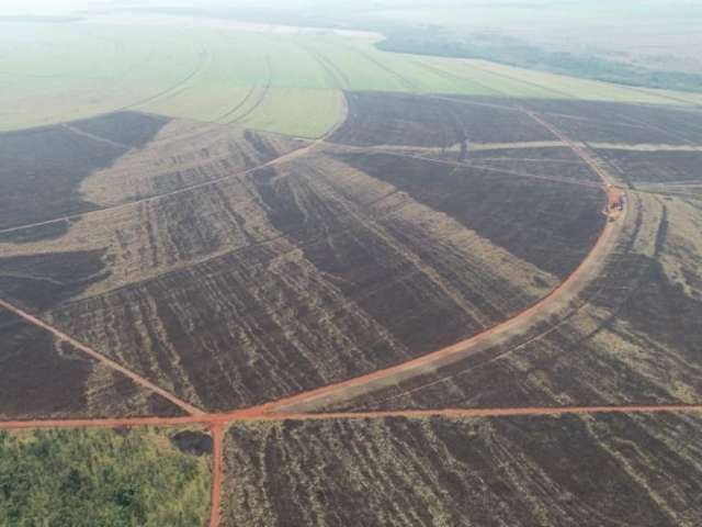 Usina &eacute; multada em R$ 273 mil por inc&ecirc;ndio em lavoura de cana
