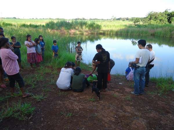 Ind&iacute;gena &eacute; encontrado morto em a&ccedil;ude de aldeia em Dourados 