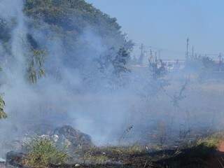 Incêndio em terreno baldio deixou região na Avenida Três Barras tomada por fumaça. (Foto: Direto das Ruas)
