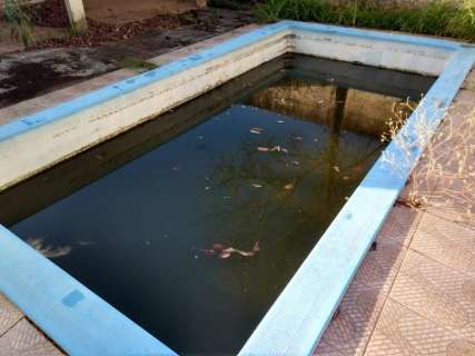 Onze dias após denúncia, piscina em casa abandonada continua sem solução 