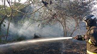 Bombeiro controla incêndio em pastagem no município de Dourados (Foto: Divulgação)