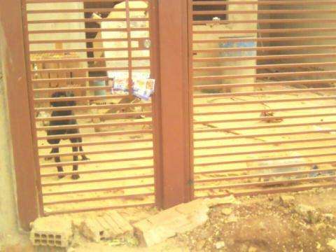 C&atilde;es s&atilde;o abandonados em casa em constru&ccedil;&atilde;o, denuncia moradora 