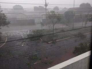 No bairro Zé Pereira, ventania e chuva (Foto: Direito das Ruas)