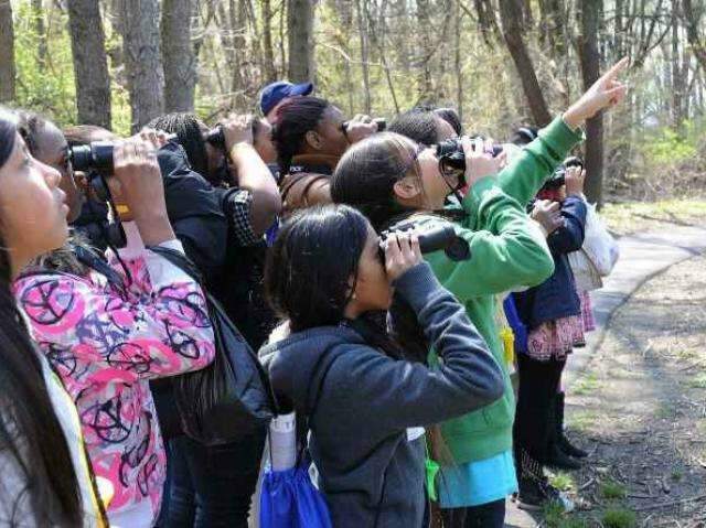 Campanha recebe fotos de animais, plantas ou qualquer organismo at&eacute; 2&ordf; feira