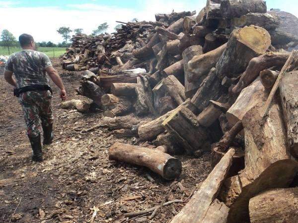 Pol&iacute;cia Ambiental interdita carvoaria e multa fazendeiro em R$ 48,3 mil