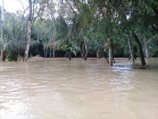 Rio sobe, inunda balne&aacute;rio e amea&ccedil;a programa&ccedil;&atilde;o do Carnaval em Jardim