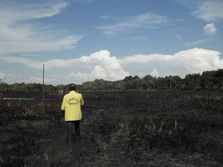 Área queimada em Porto Morrinho (Foto: Divulgação/Prevfogo)