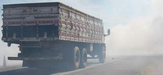  Fogo consome vegeta&ccedil;&atilde;o &agrave;s margens de rodovia e traz risco a condutores