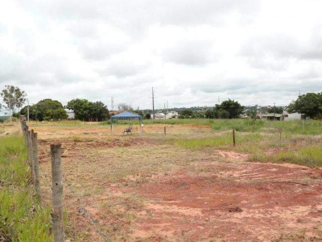 Em 15 dias, terceira &aacute;rea &eacute; invadida por fam&iacute;lias em Campo Grande