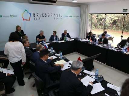 Tereza Cristina critica protecionismo e cita Manoel de Barros em reunião