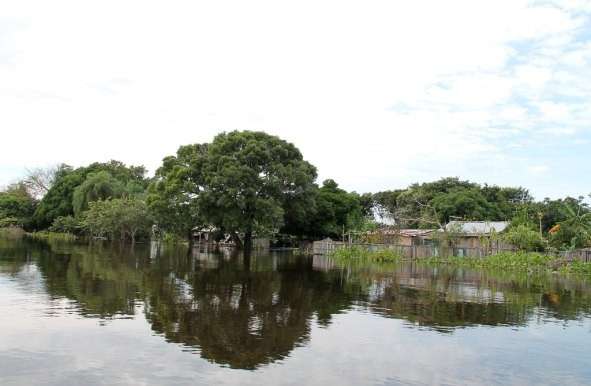 Pecu&aacute;ria enfrenta a pior cheia do rio Paraguai nos &uacute;ltimos 3 anos