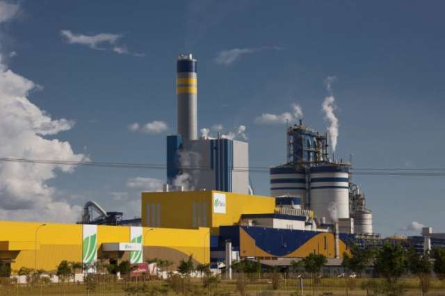Empresa de celulose de MS gerou mais de 12 mil empregos em 2016