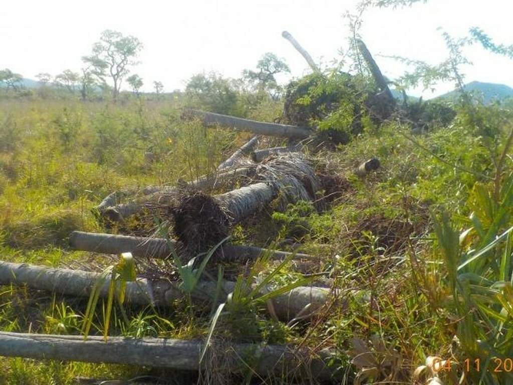 Fazendeiro Multado Em R Mil Por Desmatar Hectares De