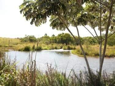  Comissão de Meio Ambiente  visita Córrego Guariroba para verificar manancial