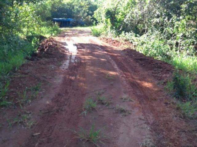 Desmatamento &eacute; descoberto pela PMA e fazendeiro multado em R$ 36 mil
