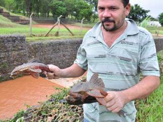 Homem mostra exemplares encontrados no Córrego Prosa. (Foto: João Garrigó)