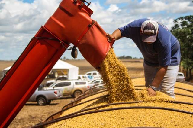 Produtor que antecipou venda da soja teve preju&iacute;zo de 8,7% nesta safra