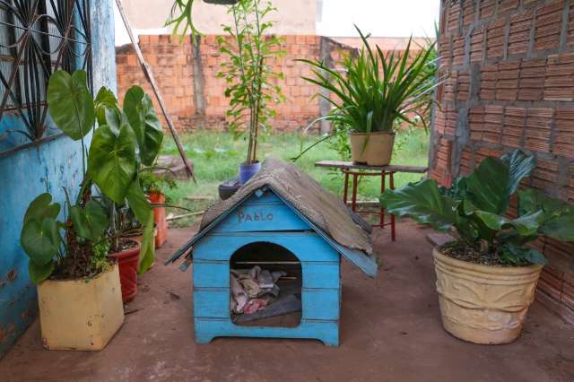 Escondida no Taveir&oacute;polis, casa azul &eacute; heran&ccedil;a cheia de portas, como m&atilde;e gostava