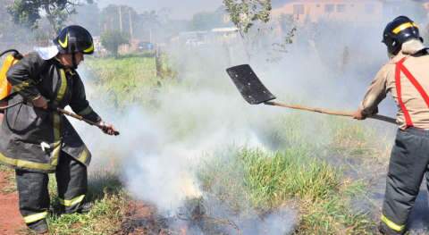  Bombeiros usam a partir de amanh&atilde; efetivo administrativo no combate a inc&ecirc;ndios florestais