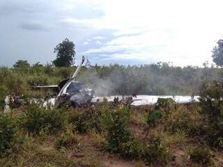 Avião caiu na área rural de Brasilândia (Foto: Divulgação)