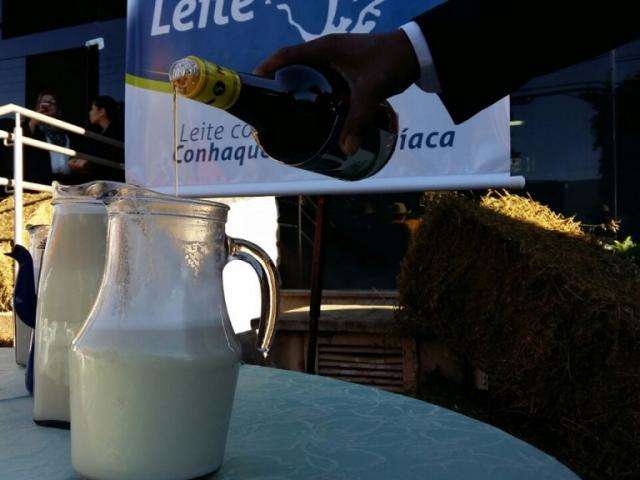 Com vaca e leite, produtores discutem como aumentar produ&ccedil;&atilde;o em MS