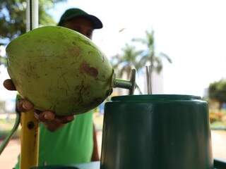 No verão com temperaturas altas e sol escaldante, água de coco ajuda o corpo a se proteger  (Foto: Kisie Ainoã) 