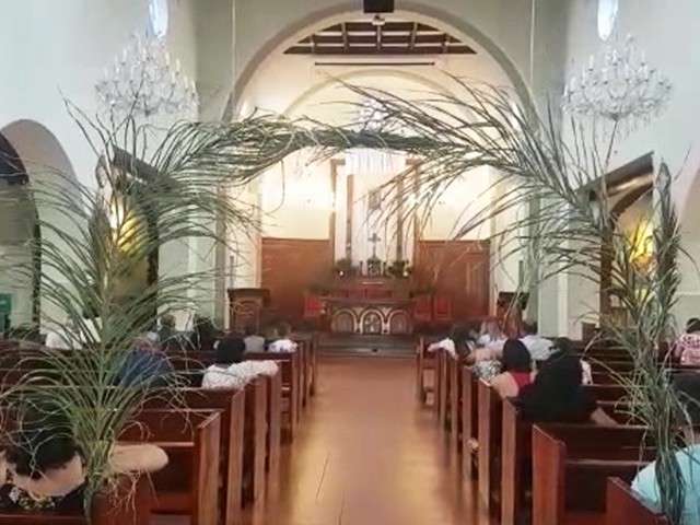 Fi&eacute;is lotam Catedral de Campo Grande para a 1&ordf; missa deste Domingo de Ramos