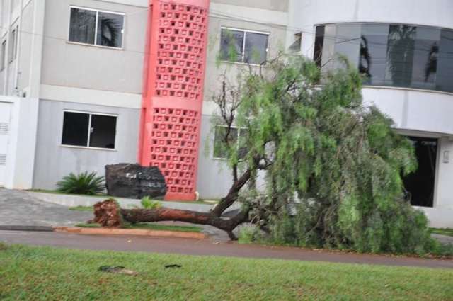 Vento de 95 km/h destr&oacute;i estruturas, derruba &aacute;rvores e deixa caos