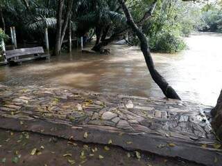 Chuva fez rio Formoso transbordar no Balneário Municipal (Foto: divulgação)