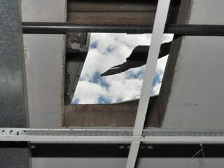 Queda de ar-condicionado abriu buraco no telhado de agência. (Foto Marlon Ganassin)