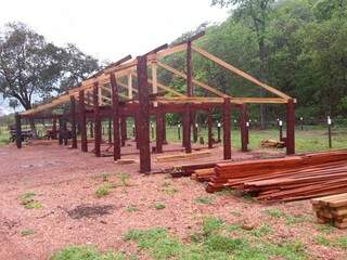Parte da madeira de lei que estava sendo extraída ilegalmente estava sendo usada para construção de barracões. (Foto: PMA/Divulgação)
