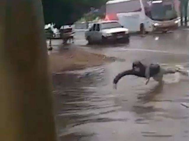 Jovem nada em avenida ap&oacute;s chuva de primavera, que este ano deve ser rotina