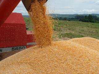Produção de etanol de milho deve gerar 750 empregos diretos e indiretos em Chapadão do Sul. (Foto: Arquivo/Campo Grande News)