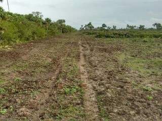 Fazenda em que desmatamento foi realizado sem licença ambiental (Foto: Divulgação/ PMA)